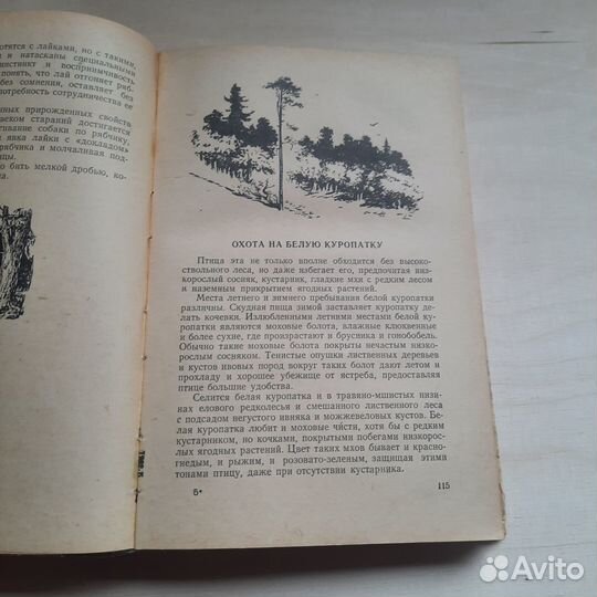 Избранные произведения. Зворыкин. 1955 г