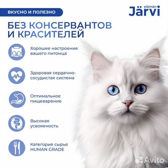 Jarvi паштет с индейкой для кошек с чувствительным