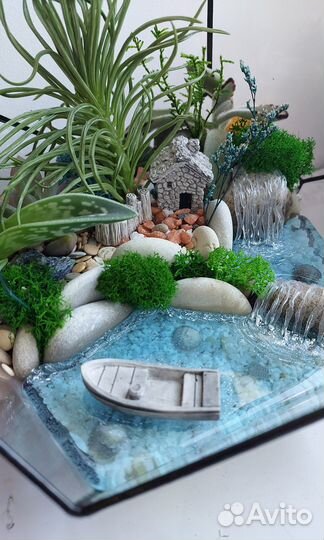 Флорариум суккуленты