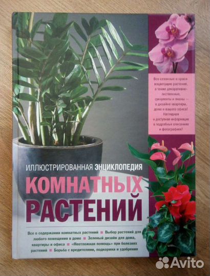 Энциклопедия комнатных растений