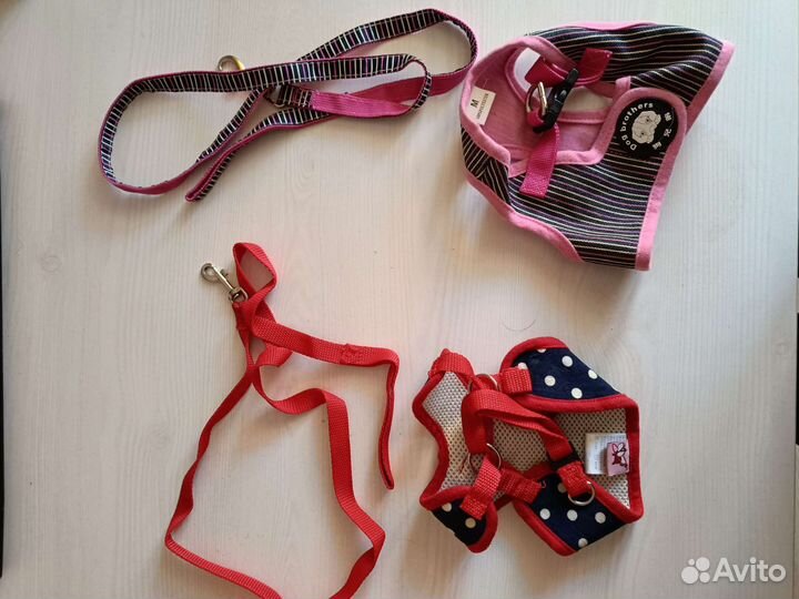 Вещи для собаки