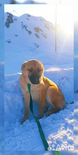 Девочка 3,5 мес