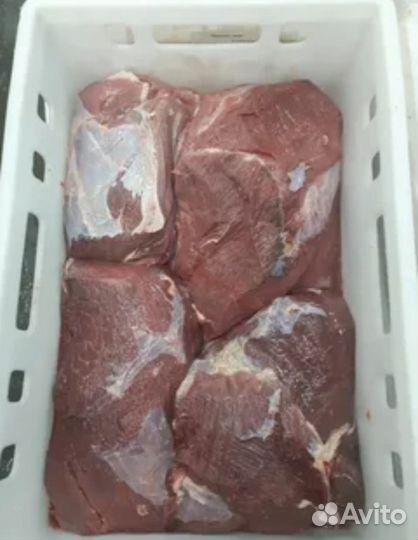 Мясо говядина