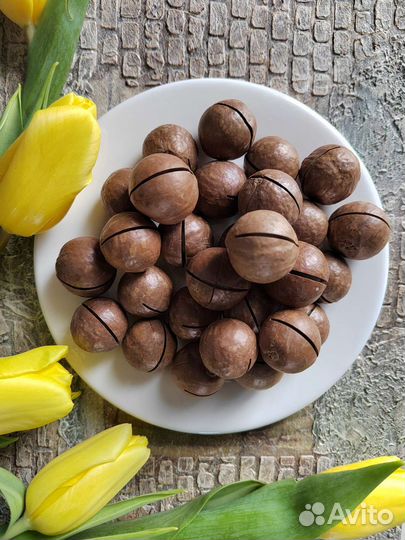 Макадамия 5А Hanif Австралийский орех