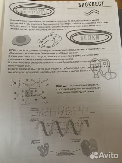 Конспет по биологии семочкина