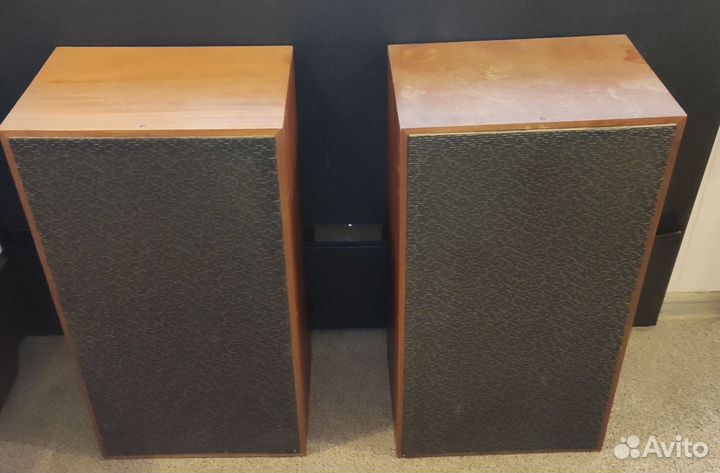 Колонки 25 ас-421 «Электроника Б1-01»