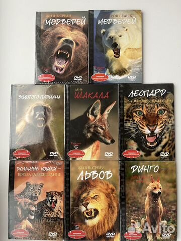 DVD диски "Хищники. Опасные и прекрасные" купить в Серпухове ...