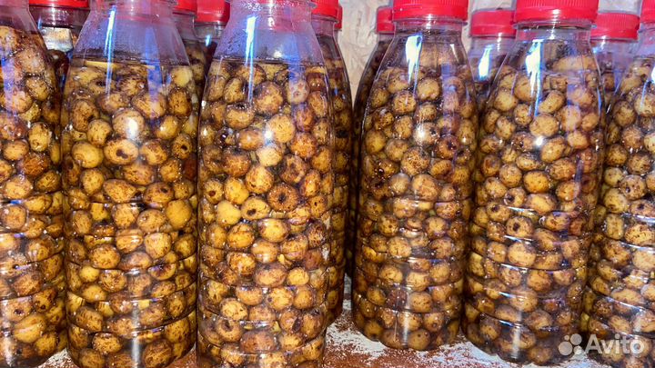 Рыболовная прикормка