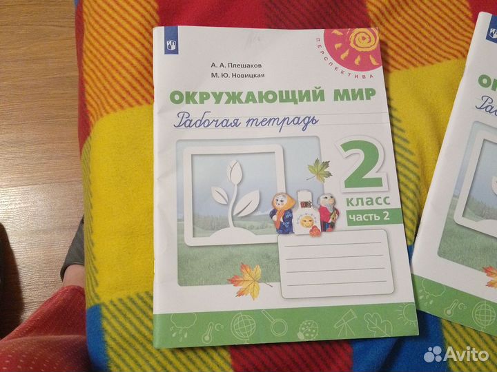 Рабочая тетрадь по окружающему миру 2 класс