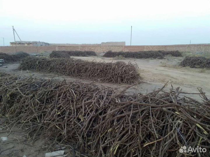 Продаю 100тн. сапожниковия