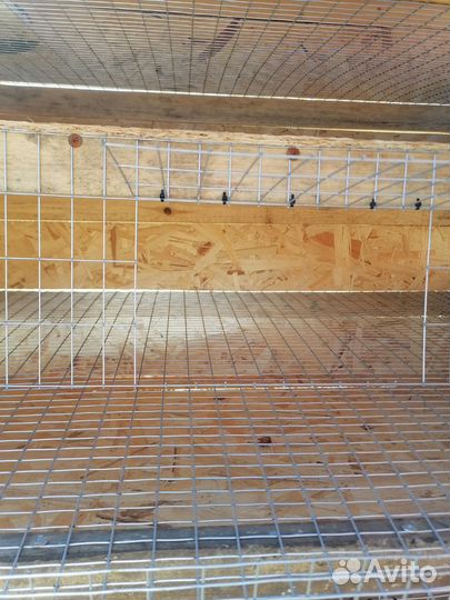 Клетка для перепелов