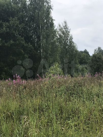 Участок 10 сот. (СНТ, ДНП)