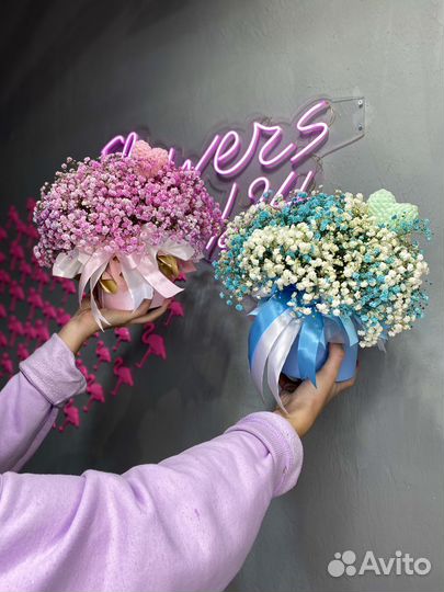 Гипсофила, Цветы, Flowers124