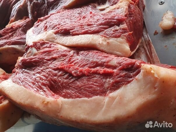 Мясо конина, говядина, баранина