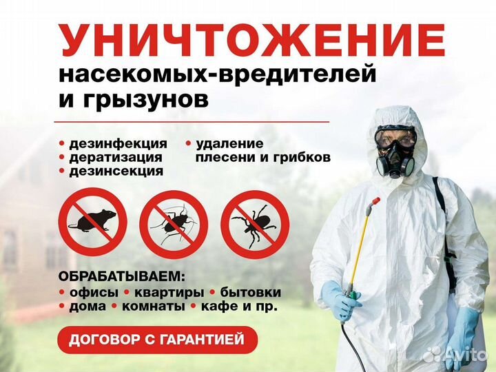 Дезинсекция, уничтожение тараканов, клопов, блох