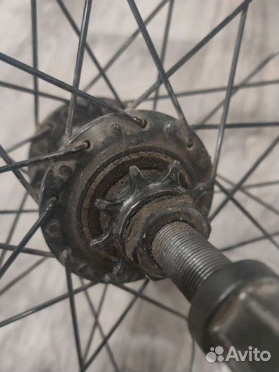 Фрикостер fat bikes