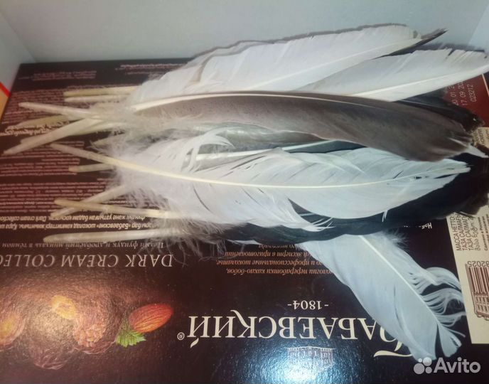 Перо гусиное