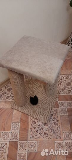 Когтеточка для кошек новая