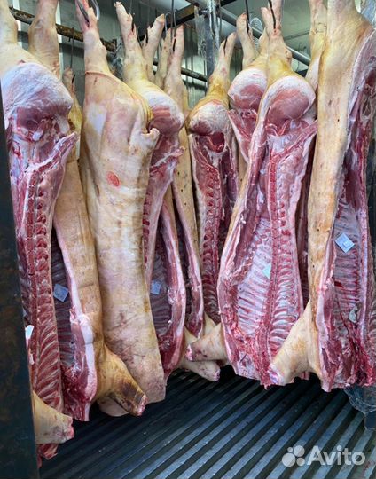 Мясо свинины в полутушках