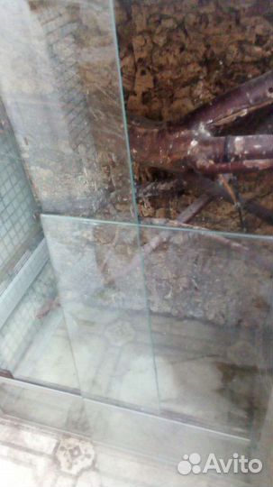 Клетка из стекла и профиля