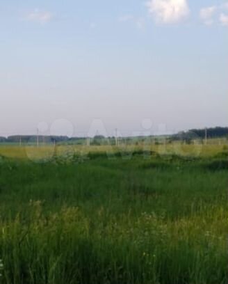 Участок 85 сот. (ИЖС)