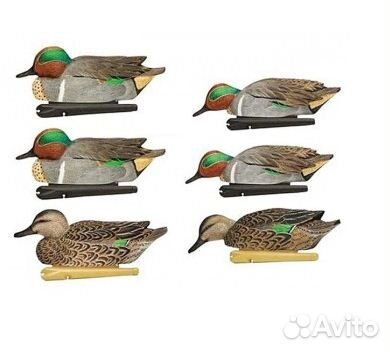 Чирки avian-X topflight green-winged teal 6 штук