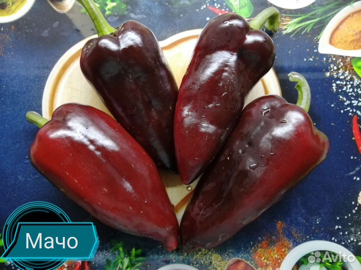 Перец сладкий и острый семена