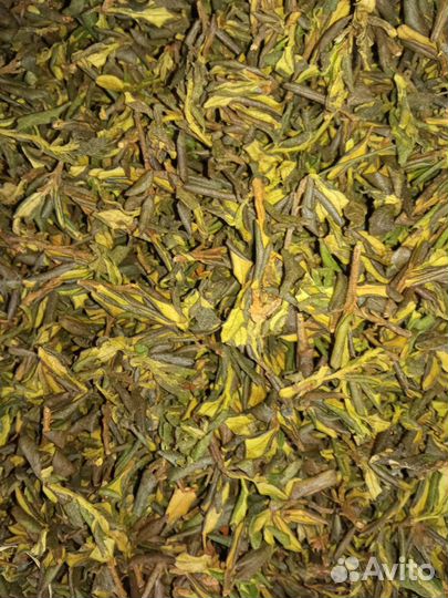 Чай саган дайля