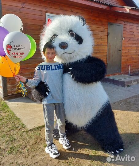 Белый медведь Тоша Калязин,Кашин и другие