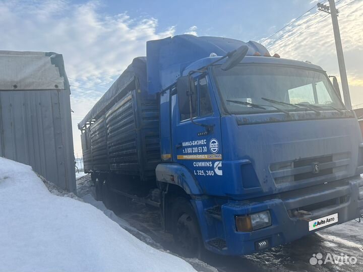 КАМАЗ 65117-RB, 2012