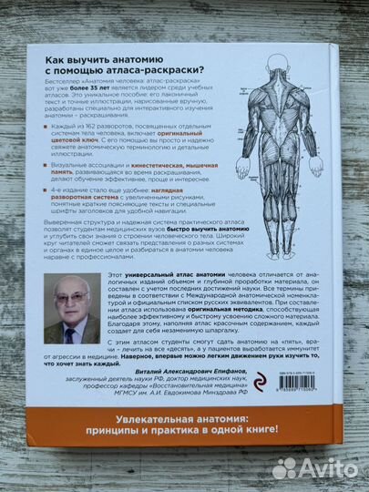 Анатомия человека: Атлас раскраска