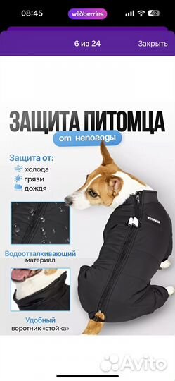 Комбинезон для собаки