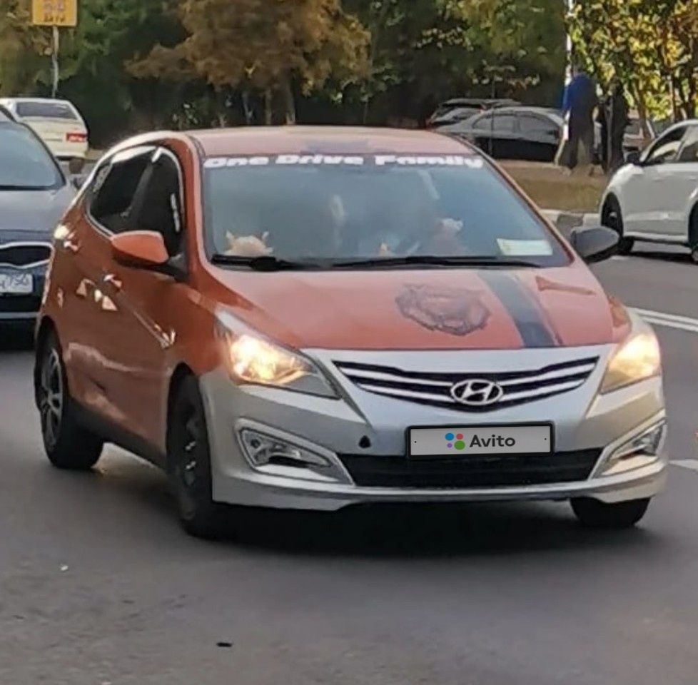 Hyundai Solaris: фото владельца