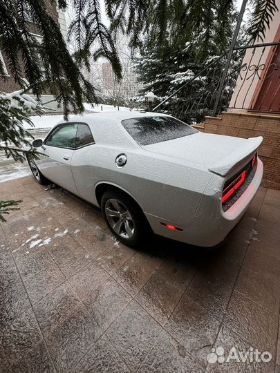 Dodge Challenger 3.6 AT, 2020, 38 804 км