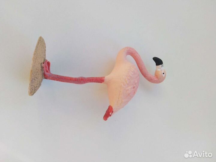 Шляйх животные