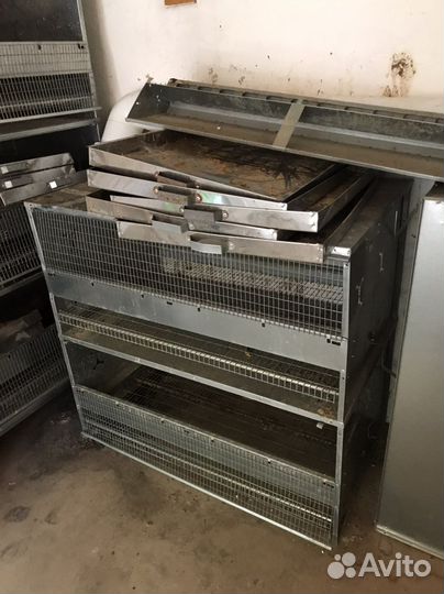 Клетки для кур