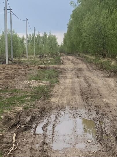 Участок 15,1 сот. (ИЖС)