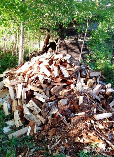 Дрова Березовые подготовленные любые