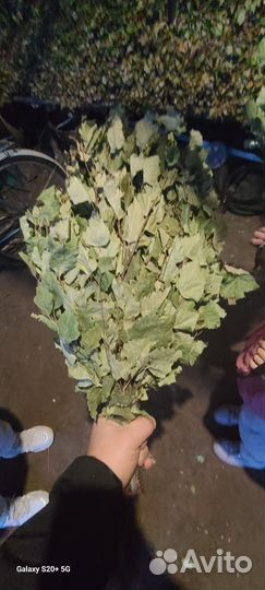 Веники для бани