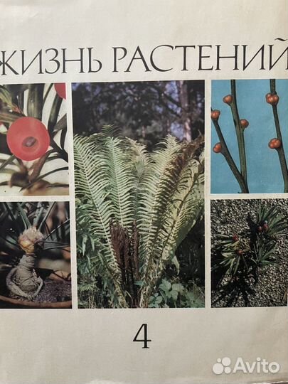 Продается энциклопедия 