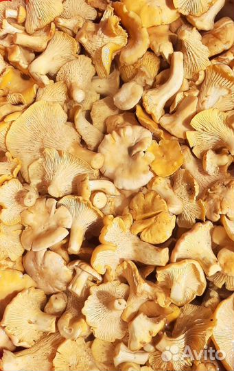 Грибы Крымские маринованные