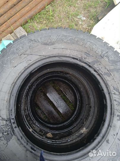 КАМА Кама-219 215/4.5 204M