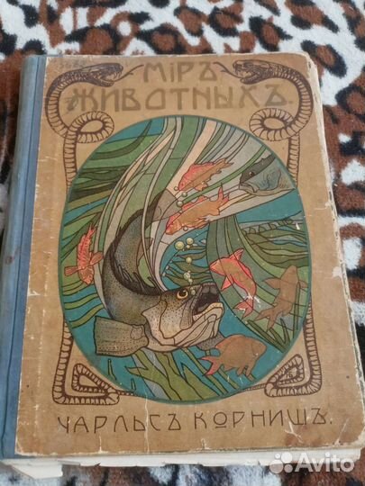 Старые книги