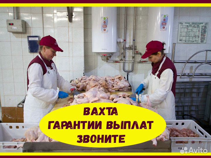 Вахта Оператор линии Аванс еженедельно Еда+Жилье