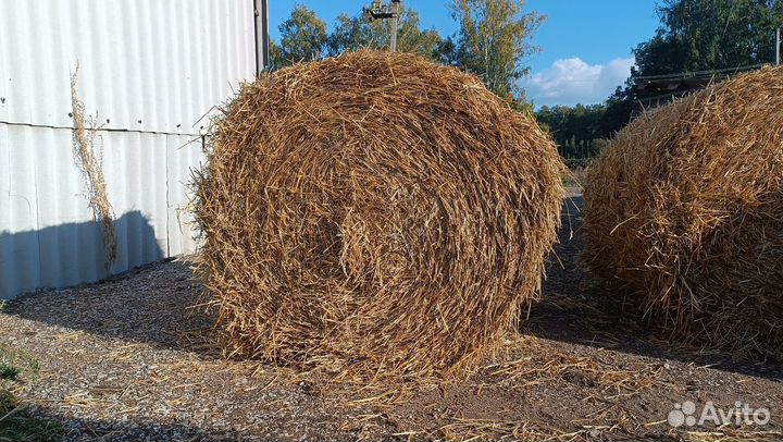 Солома, 110 пресс