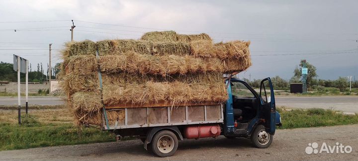 Сено-Доставка