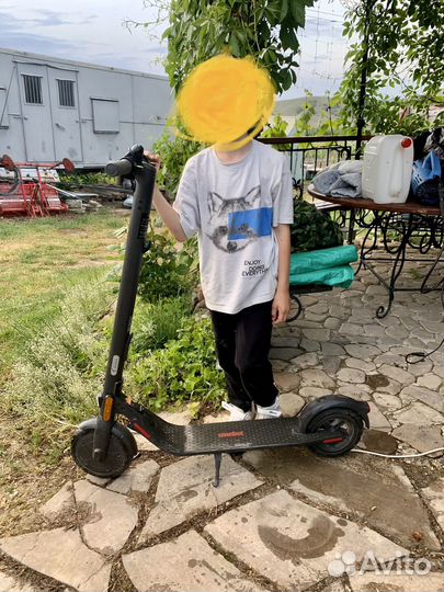 Электросамокат ninebot kickscooter e2
