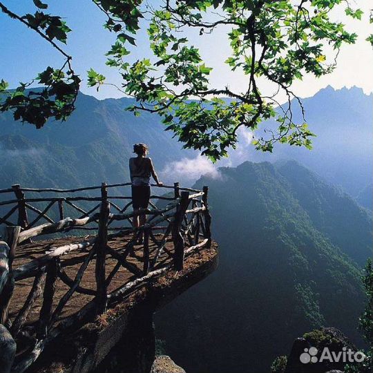 Абхазия. Индивидуально, 7 мест