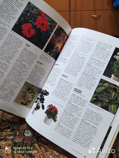 Книги о комнатных растениях
