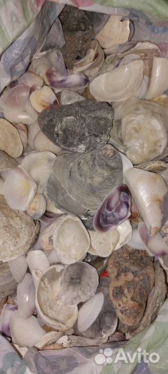 Морские камни и ракушки для аквариума 6.7 кг